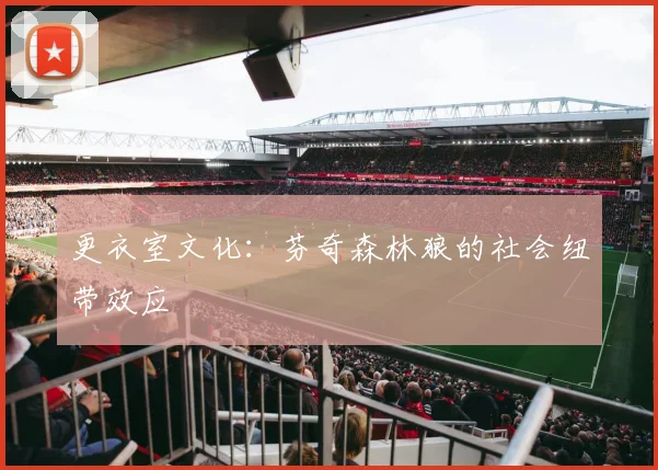 更衣室文化：芬奇森林狼的社会纽带效应