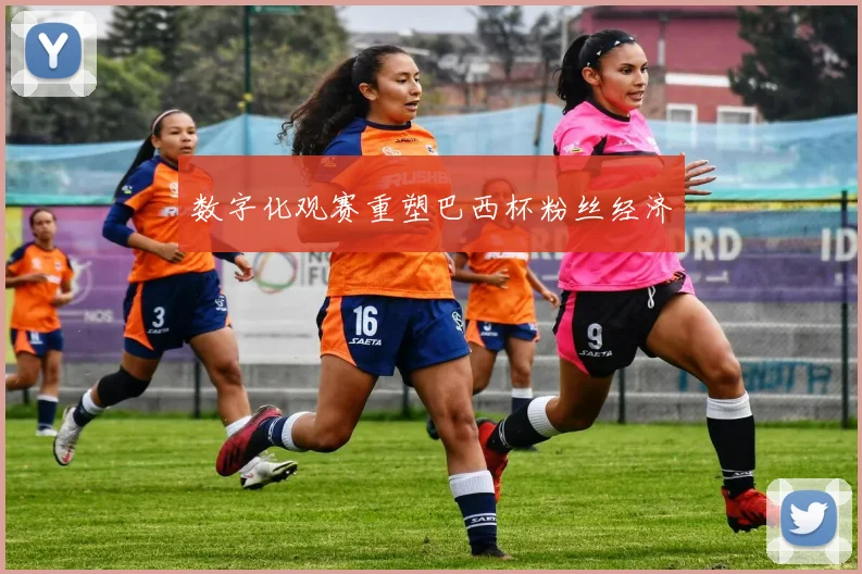 数字化观赛重塑巴西杯粉丝经济