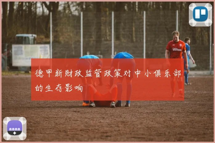 德甲新财政监管政策对中小俱乐部的生存影响