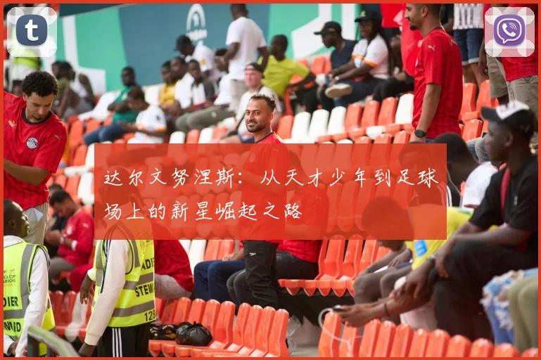达尔文努涅斯：从天才少年到足球场上的新星崛起之路