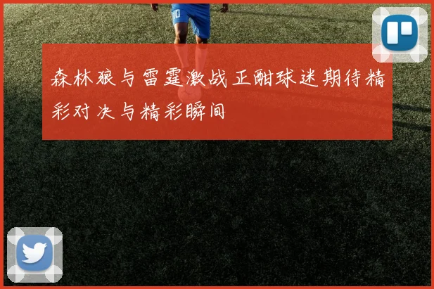 森林狼与雷霆激战正酣球迷期待精彩对决与精彩瞬间