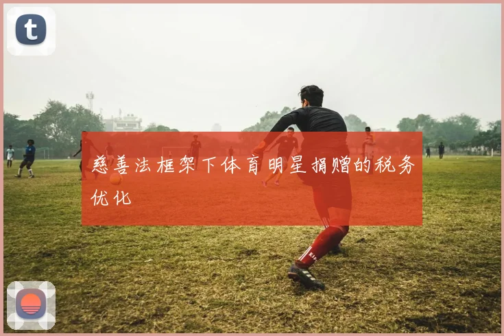 慈善法框架下体育明星捐赠的税务优化