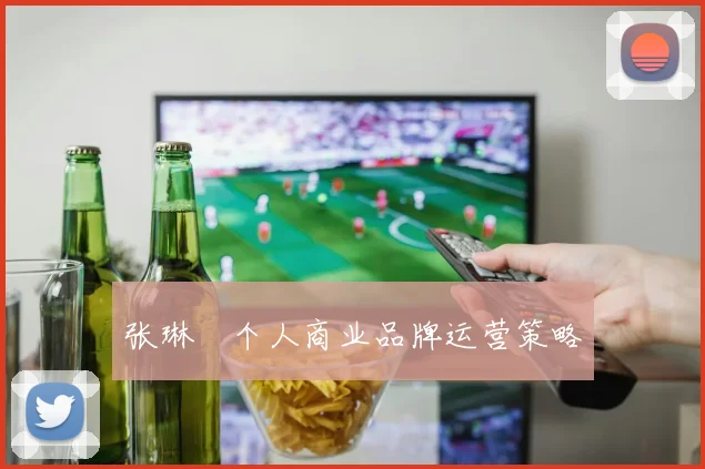 张琳芃个人商业品牌运营策略